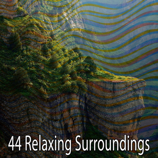 Couverture de 44 Relaxing Surroundings