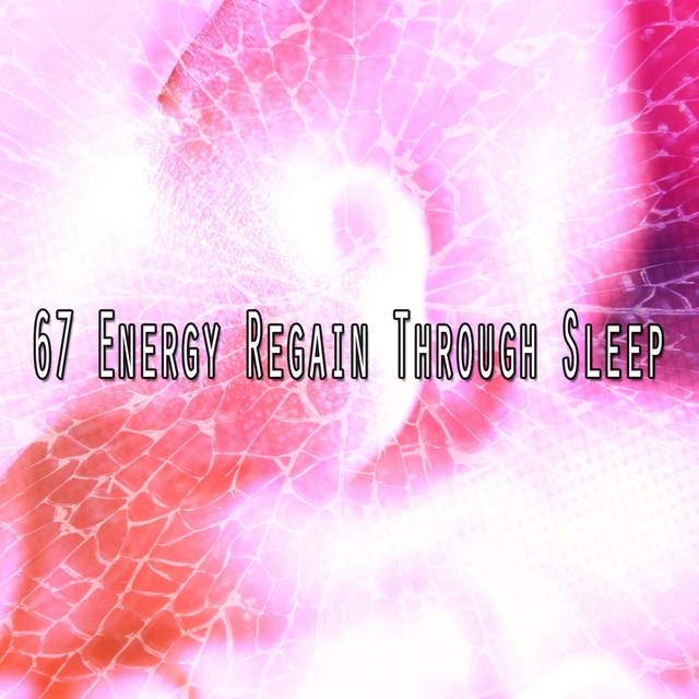 Couverture de 67 Energy Regain Through Sle - EP