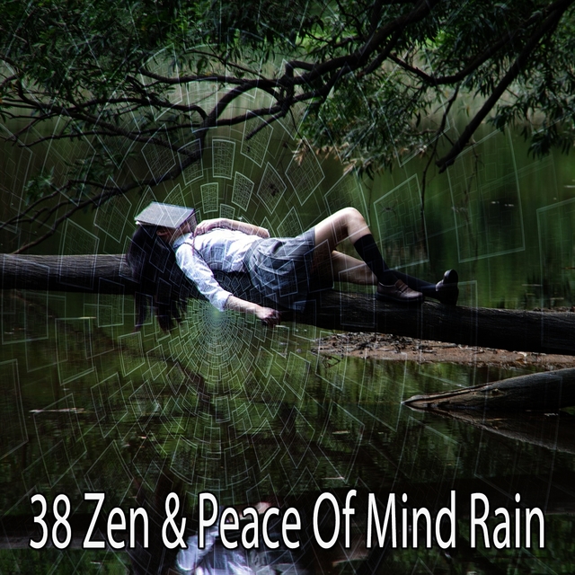 Couverture de 38 Zen & Peace of Mind Rain