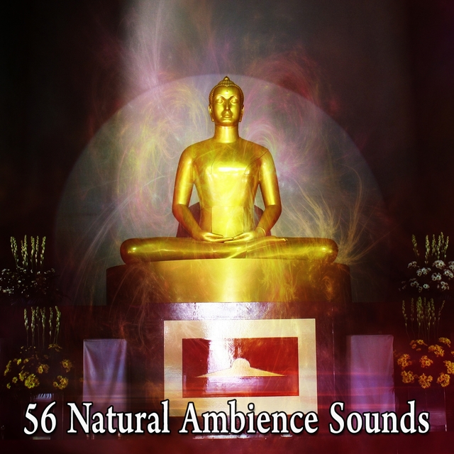 Couverture de 56 Natural Ambience Sounds