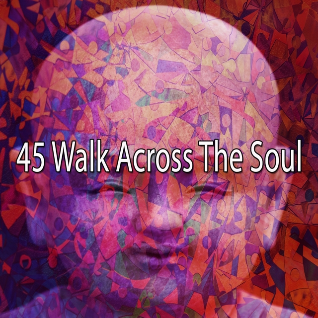 Couverture de 45 Walk Across the Soul