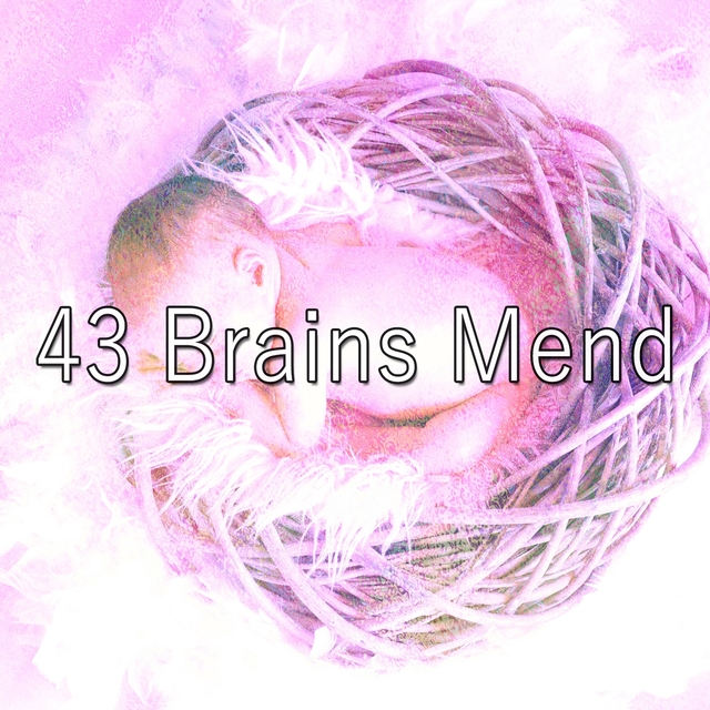 Couverture de 43 Brains Mend