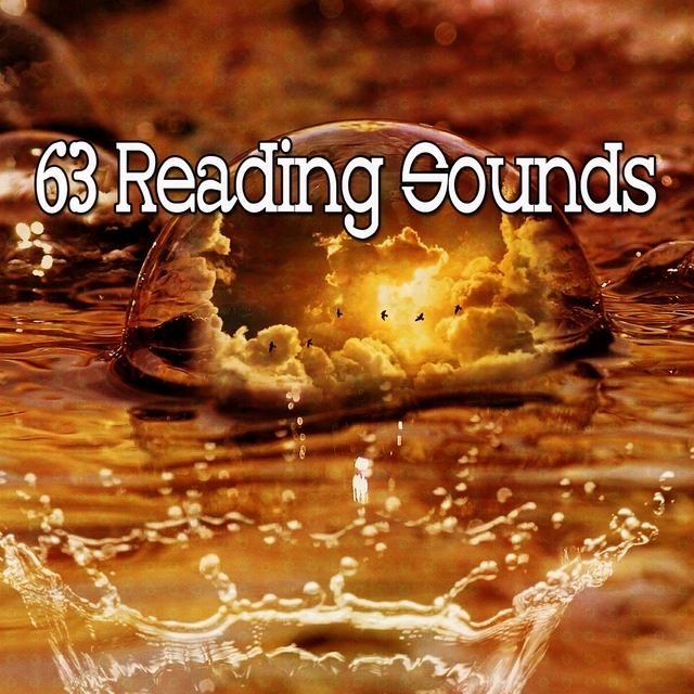 Couverture de 63 Reading Sounds