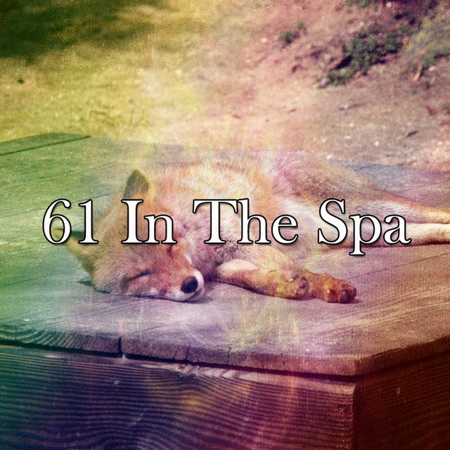 61 In the Spa