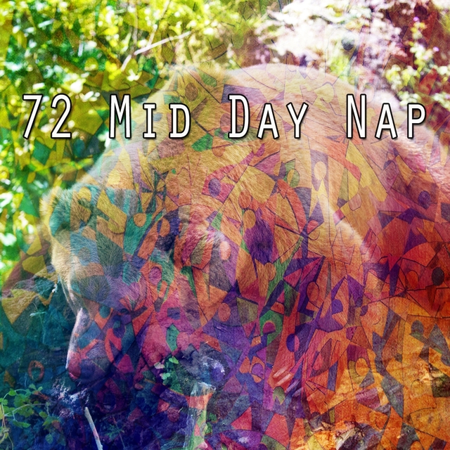 72 Mid Day Nap