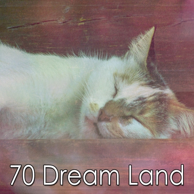 70 Dream Land
