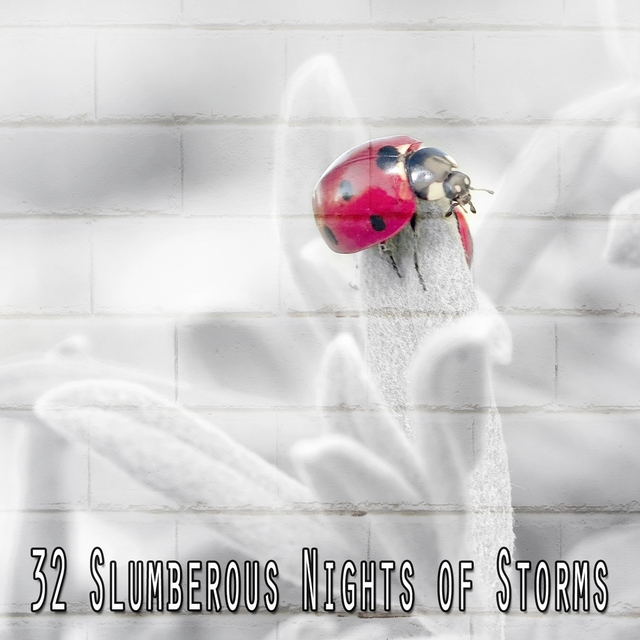 Couverture de 32 Slumberous Nights of Storms