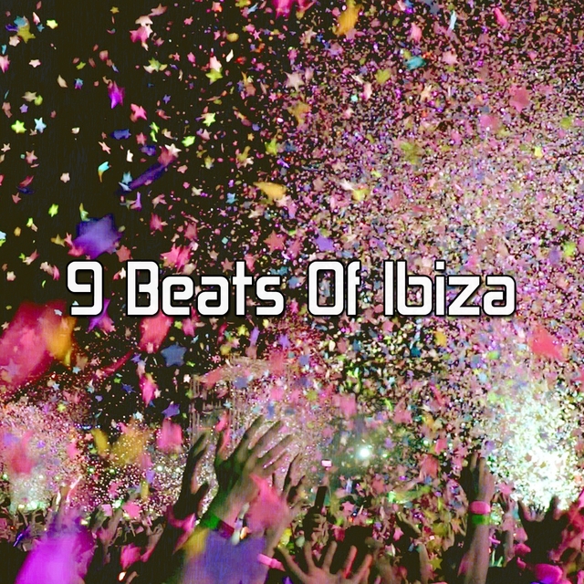 Couverture de 9 Beats of Ibiza