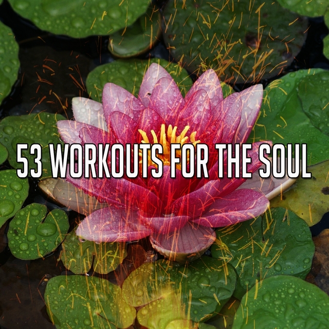 Couverture de 53 Workouts for the Soul