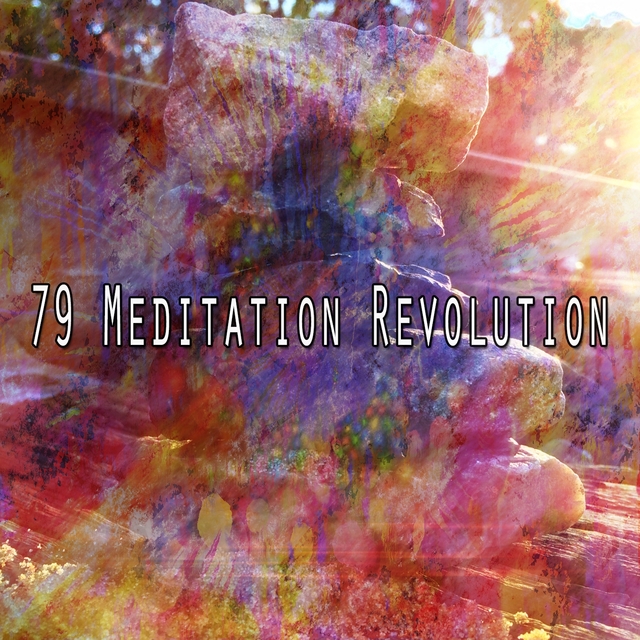 Couverture de 79 Meditation Revolution