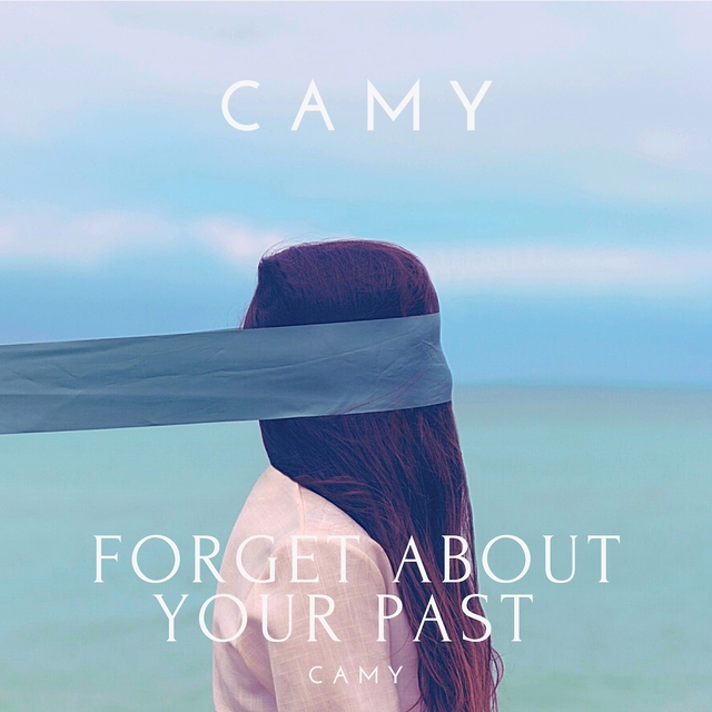 Couverture de Forget about your past