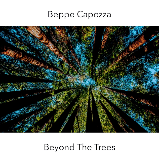 Couverture de Beyond The Trees