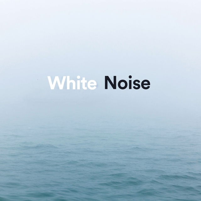 Couverture de White Noise