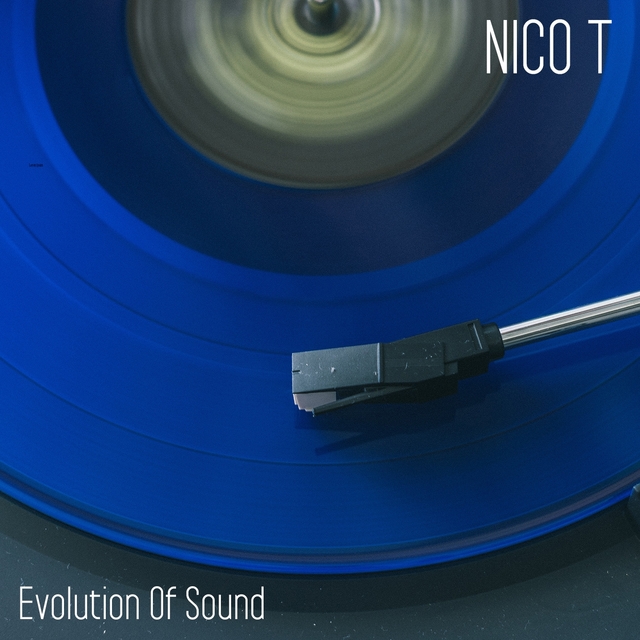 Couverture de Evolution Of Sound