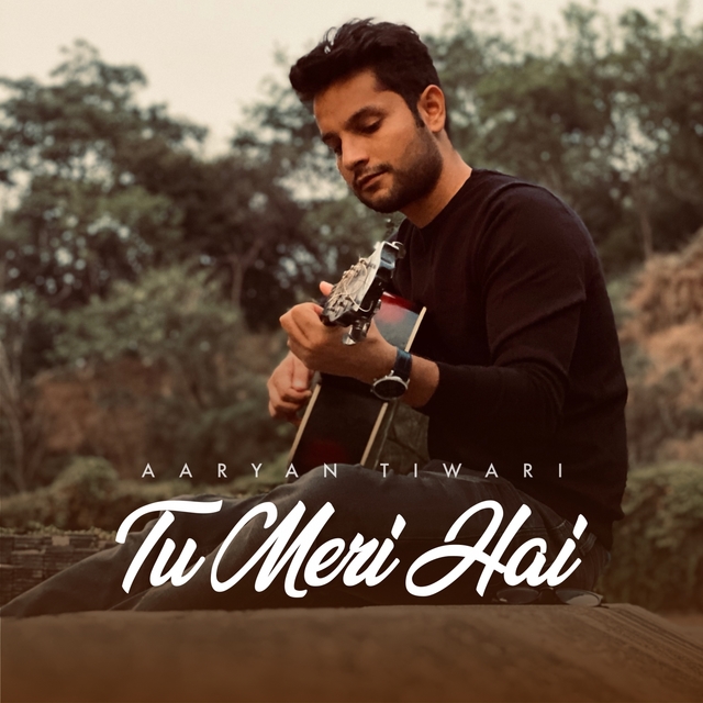 Couverture de Tu Meri Hai (Unplugged Version)