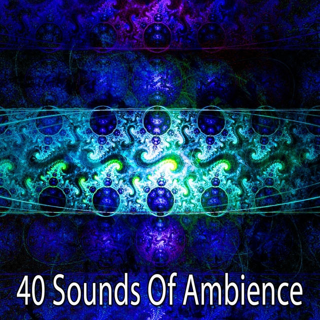 Couverture de 40 Sounds of Ambience