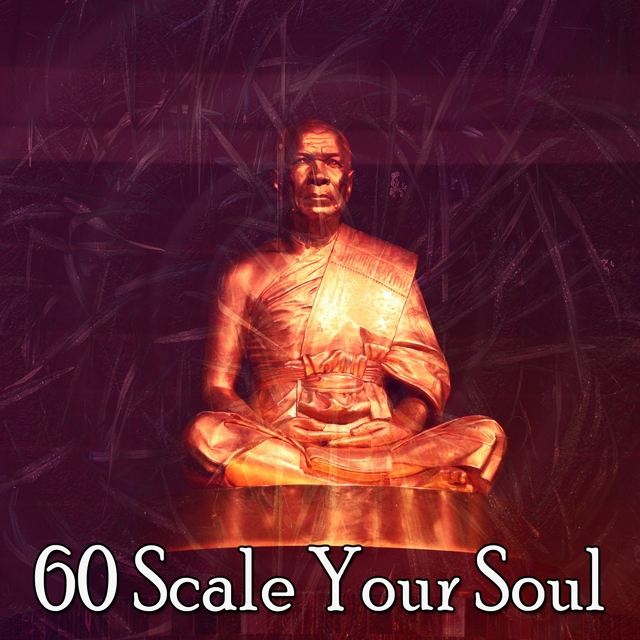 Couverture de 60 Scale Your Soul