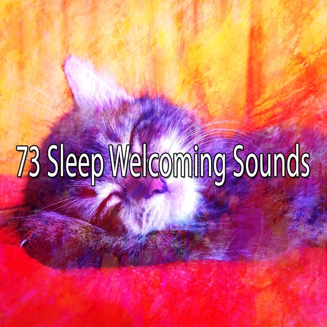 Couverture de 73 Sleep Welcoming Sounds