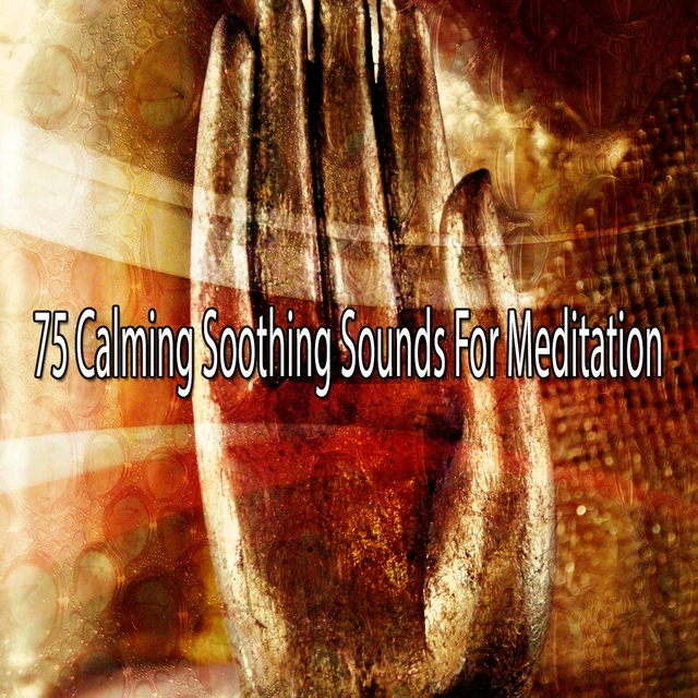 Couverture de 75 Calming Soothing Sounds for Meditation