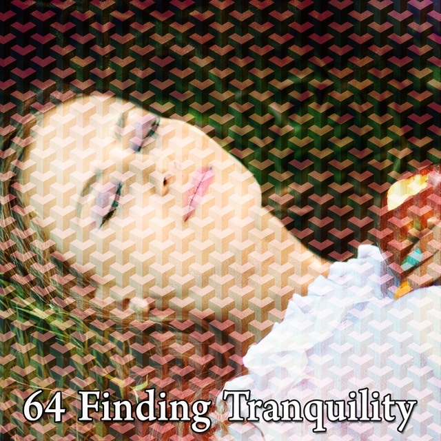 Couverture de 64 Finding Tranquility