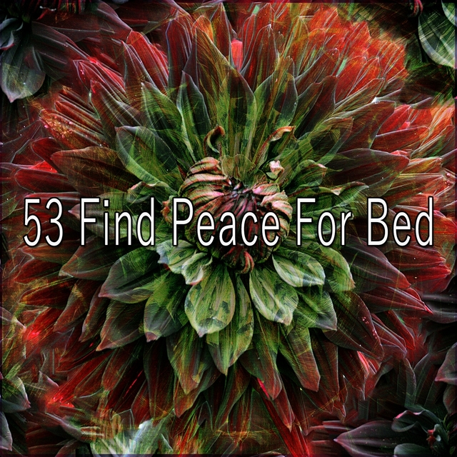 Couverture de 53 Find Peace for Bed