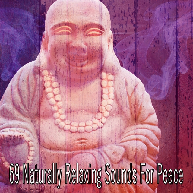 Couverture de 69 Naturally Relaxing Sounds for Peace