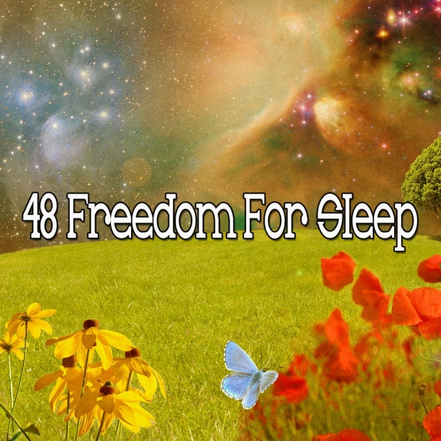 48 Freedom for Sle - EP