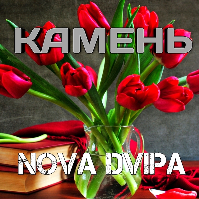 Couverture de Камень