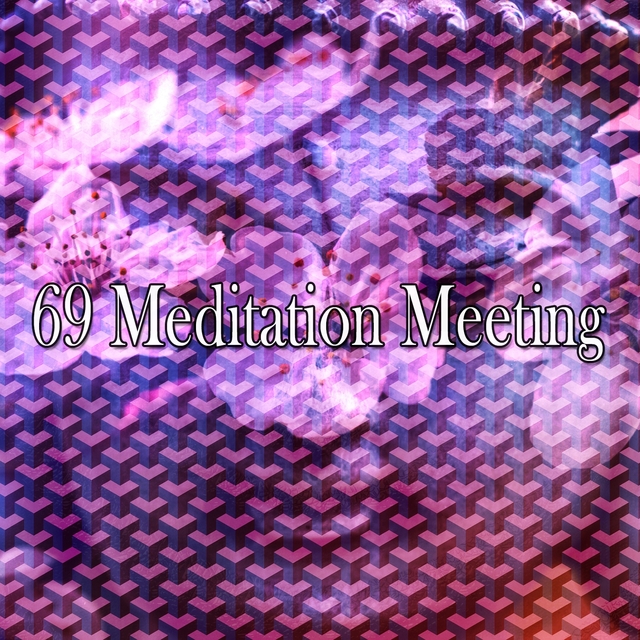 69 Meditation Meeting