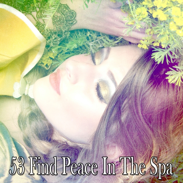 Couverture de 53 Find Peace in the Spa