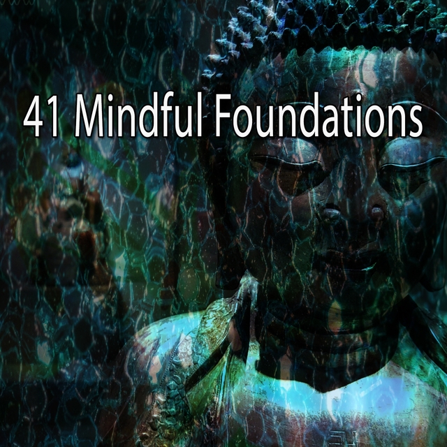 Couverture de 41 Mindful Foundations