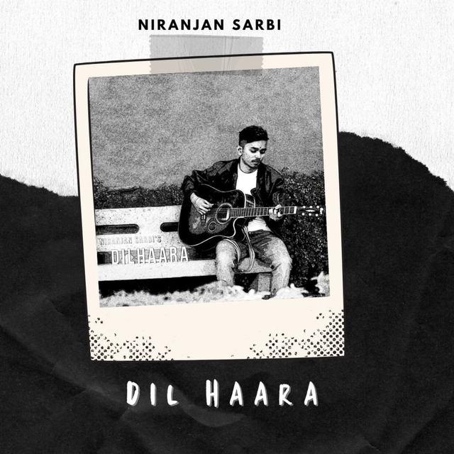 Couverture de Dil Haara