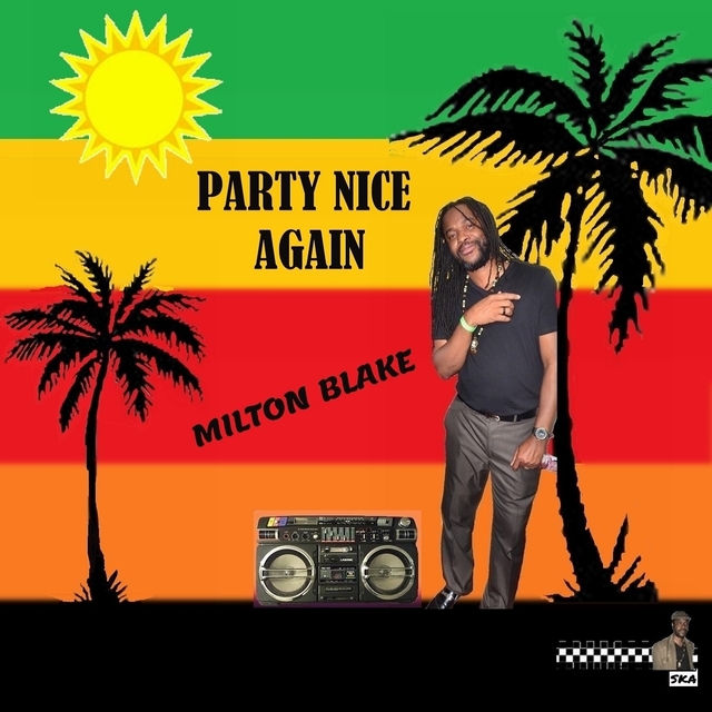 Couverture de Party Nice Again