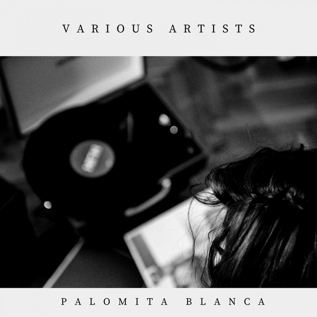 Couverture de Palomita Blanca