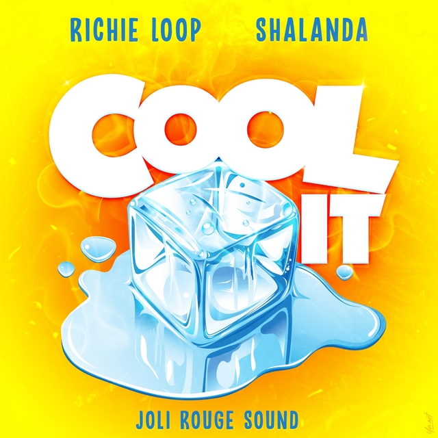 Couverture de Cool It