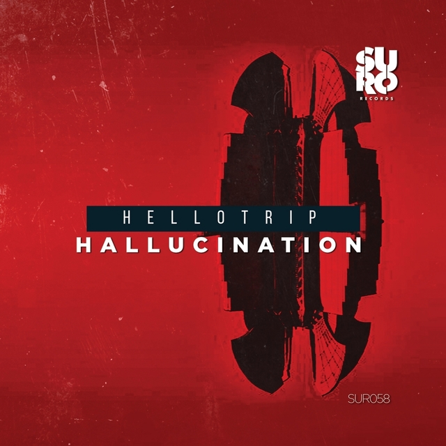 Couverture de Hallucination