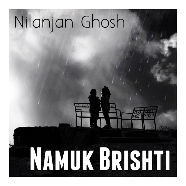 Couverture de Namuk Brishti