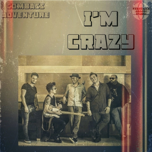 Couverture de i'm crazy