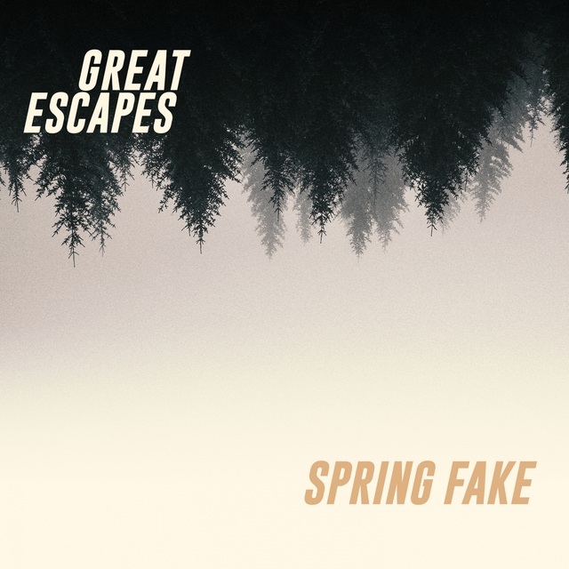 Couverture de Spring Fake