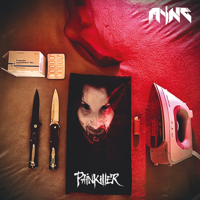 Couverture de Painkiller