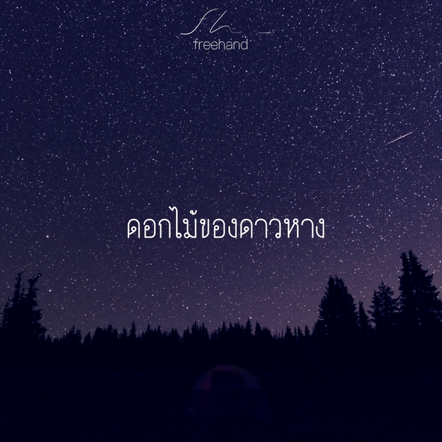 Couverture de ดอกไม้ของดาวหาง