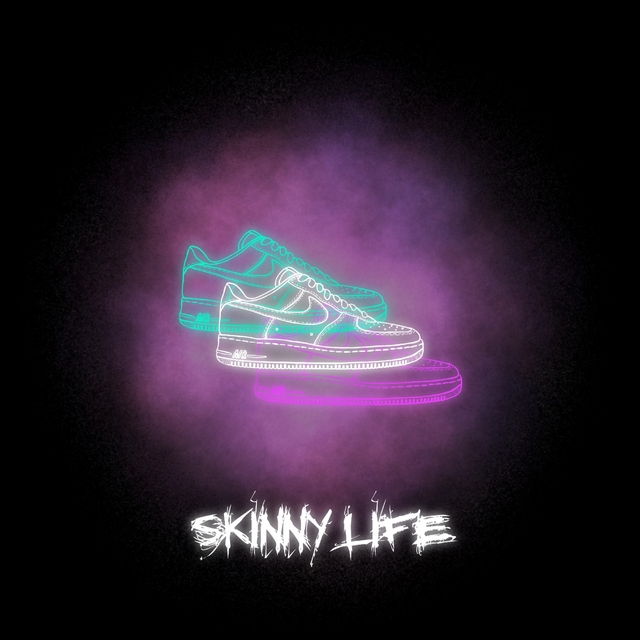 Couverture de Skinny Life