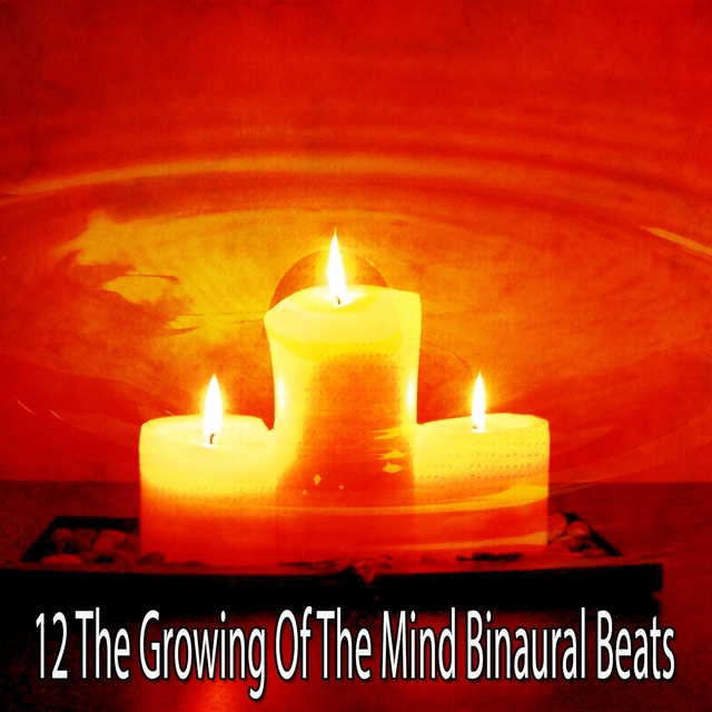 12 The Growing Of the Mind Binaural Beats