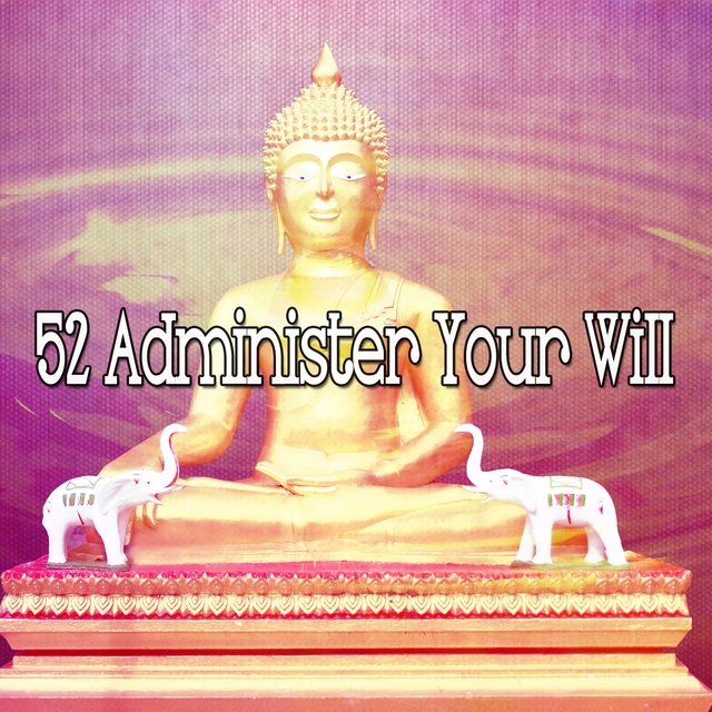 52 Administer Your Will