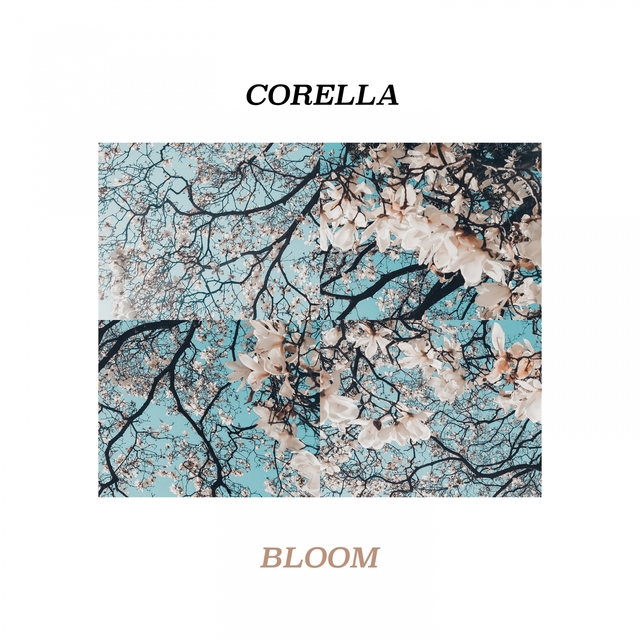 Couverture de Bloom