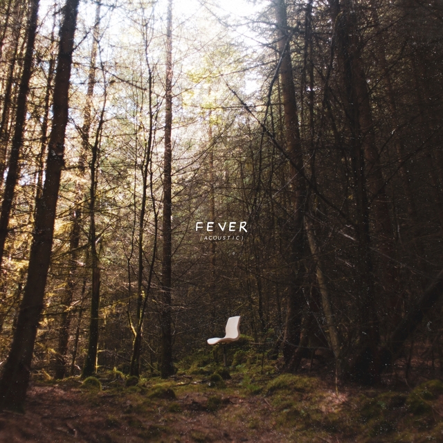 Couverture de Fever