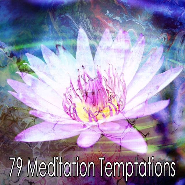 Couverture de 79 Meditation Temptations