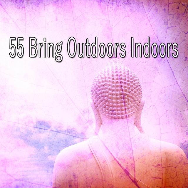 Couverture de 55 Bring Outdoors Indoors