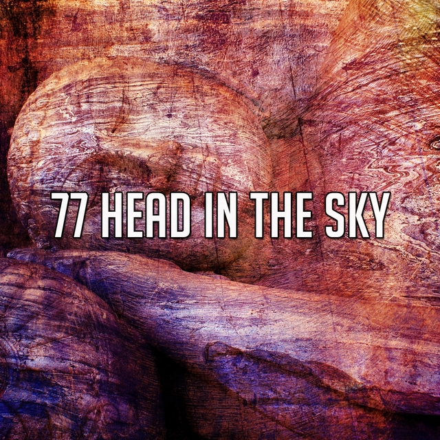 77 Head in the Sky