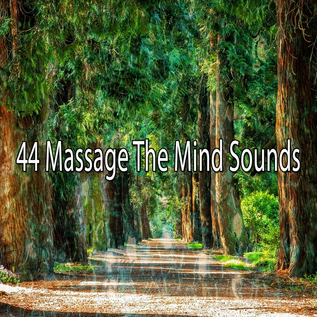 44 Massage the Mind Sounds